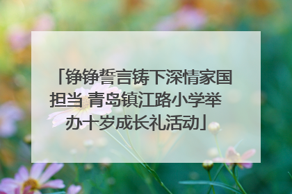 铮铮誓言铸下深情家国担当 青岛镇江路小学举办十岁成长礼活动