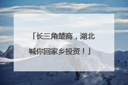 长三角楚商，湖北喊你回家乡投资！
