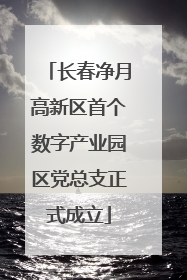长春净月高新区首个数字产业园区党总支正式成立