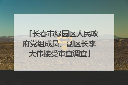 长春市绿园区人民政府党组成员、副区长李大伟接受审查调查