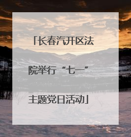 长春汽开区法院举行“七一”主题党日活动
