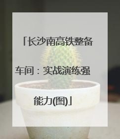 长沙南高铁整备车间：实战演练强能力(图)