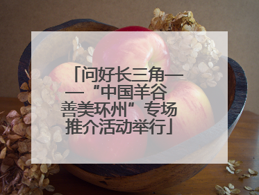 问好长三角——“中国羊谷 善美环州”专场推介活动举行