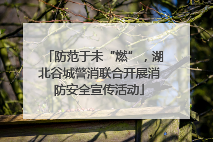 防范于未“燃”，湖北谷城警消联合开展消防安全宣传活动