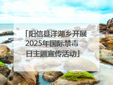 阳信县洋湖乡开展2025年国际禁毒日主题宣传活动
