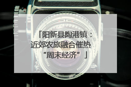 阳新县陶港镇：近郊农旅融合催热“周末经济”