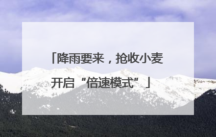 降雨要来，抢收小麦开启“倍速模式”