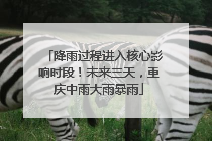 降雨过程进入核心影响时段！未来三天，重庆中雨大雨暴雨