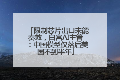 限制芯片出口未能奏效，白宫AI主管：中国模型仅落后美国不到半年
