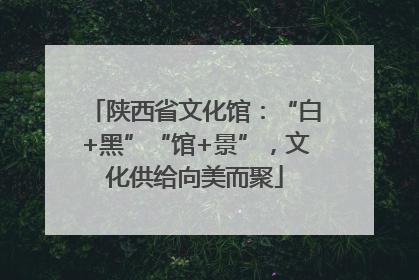 陕西省文化馆：“白+黑”“馆+景”，文化供给向美而聚