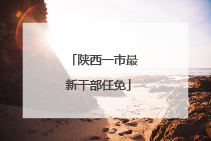 陕西一市最新干部任免