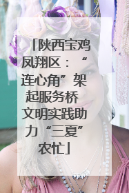 陕西宝鸡凤翔区：“连心角”架起服务桥 文明实践助力“三夏”农忙