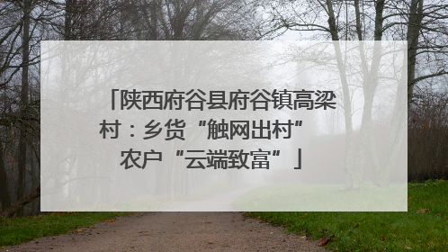 陕西府谷县府谷镇高梁村：乡货“触网出村” 农户“云端致富”