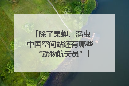 除了果蝇、涡虫 中国空间站还有哪些“动物航天员”
