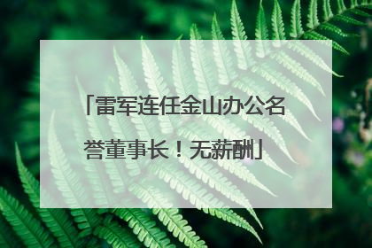 雷军连任金山办公名誉董事长！无薪酬