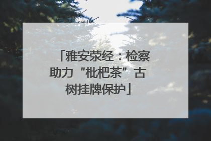 雅安荥经：检察助力“枇杷茶”古树挂牌保护