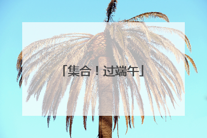 集合！过端午