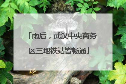 雨后，武汉中央商务区三地铁站皆畅通