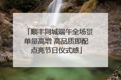 顺丰同城端午全场景单量高增 高品质即配点亮节日仪式感