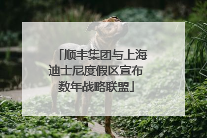 顺丰集团与上海迪士尼度假区宣布数年战略联盟