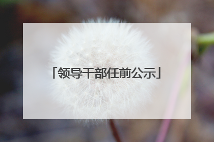领导干部任前公示