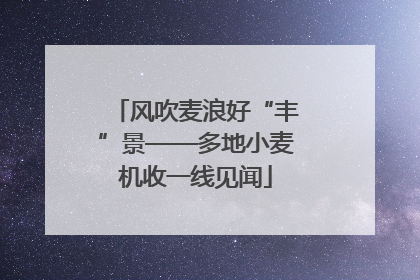 风吹麦浪好“丰”景——多地小麦机收一线见闻