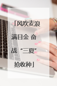 风吹麦浪满目金 奋战“三夏”抢收种