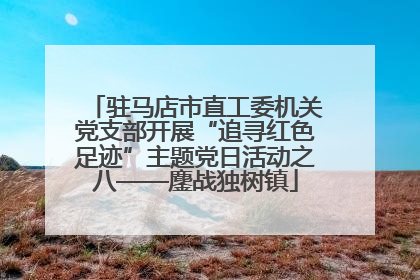驻马店市直工委机关党支部开展“追寻红色足迹”主题党日活动之八——鏖战独树镇
