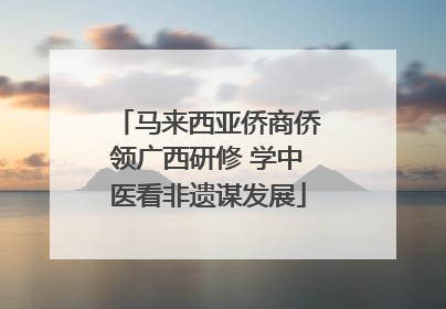 马来西亚侨商侨领广西研修 学中医看非遗谋发展