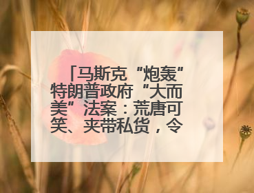 马斯克“炮轰”特朗普政府“大而美”法案：荒唐可笑、夹带私货，令人作呕