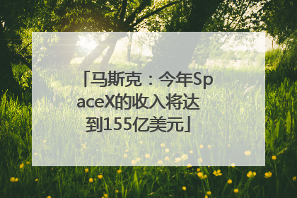 马斯克：今年SpaceX的收入将达到155亿美元