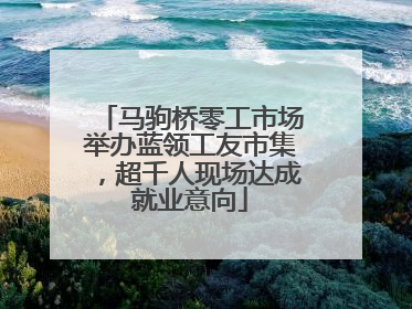 马驹桥零工市场举办蓝领工友市集，超千人现场达成就业意向