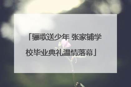 骊歌送少年 张家铺学校毕业典礼温情落幕