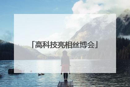 高科技亮相丝博会