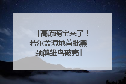 高原萌宝来了！若尔盖湿地首批黑颈鹤雏鸟破壳