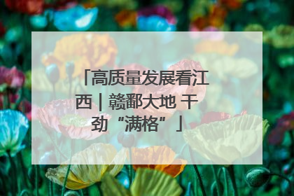 高质量发展看江西｜赣鄱大地 干劲“满格”