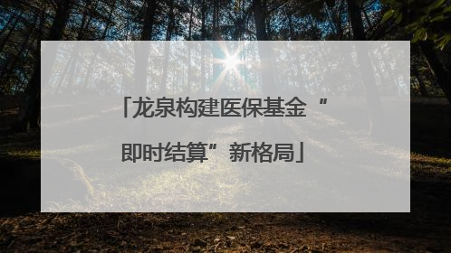 龙泉构建医保基金“即时结算”新格局