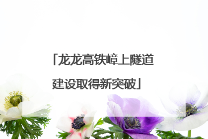 龙龙高铁嶂上隧道建设取得新突破