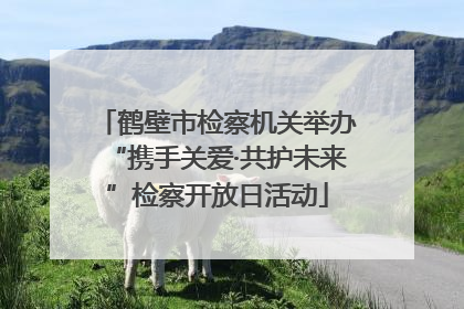 鹤壁市检察机关举办“携手关爱·共护未来”检察开放日活动