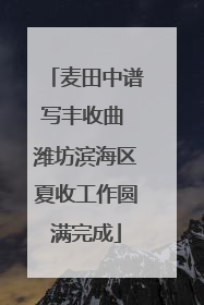 麦田中谱写丰收曲 潍坊滨海区夏收工作圆满完成