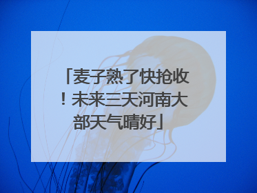 麦子熟了快抢收！未来三天河南大部天气晴好