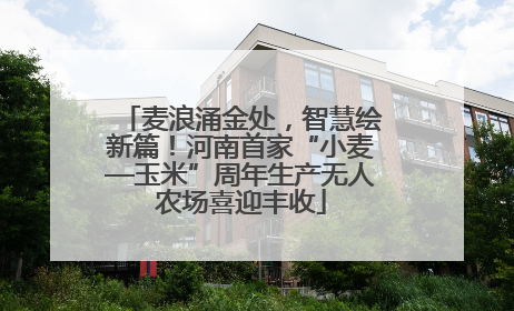 麦浪涌金处，智慧绘新篇！河南首家“小麦—玉米”周年生产无人农场喜迎丰收
