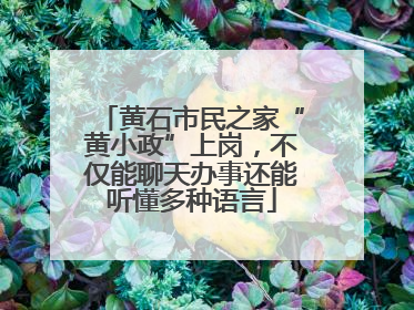 黄石市民之家“黄小政”上岗，不仅能聊天办事还能听懂多种语言
