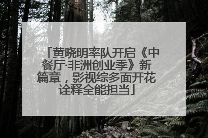 黄晓明率队开启《中餐厅·非洲创业季》新篇章，影视综多面开花诠释全能担当