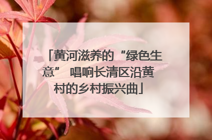 黄河滋养的“绿色生意” 唱响长清区沿黄村的乡村振兴曲