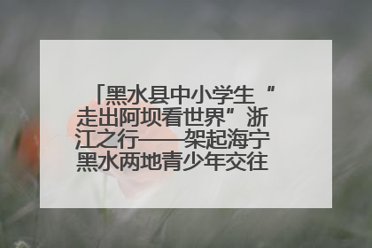 黑水县中小学生“走出阿坝看世界”浙江之行——架起海宁黑水两地青少年交往交流交融新桥梁