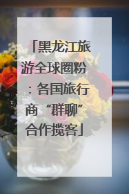 黑龙江旅游全球圈粉：各国旅行商“群聊”合作揽客