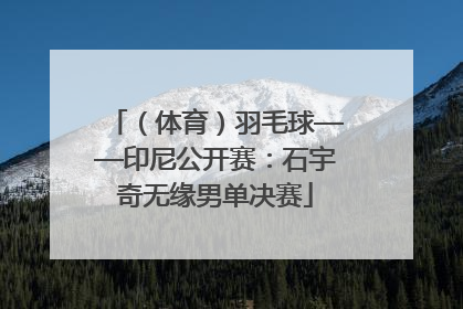 （体育）羽毛球——印尼公开赛：石宇奇无缘男单决赛