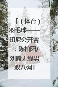 （体育）羽毛球——印尼公开赛：陈柏阳/刘毅无缘男双八强