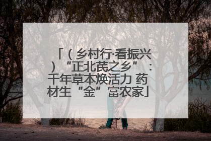 （乡村行·看振兴）“正北芪之乡”：千年草本焕活力 药材生“金”富农家